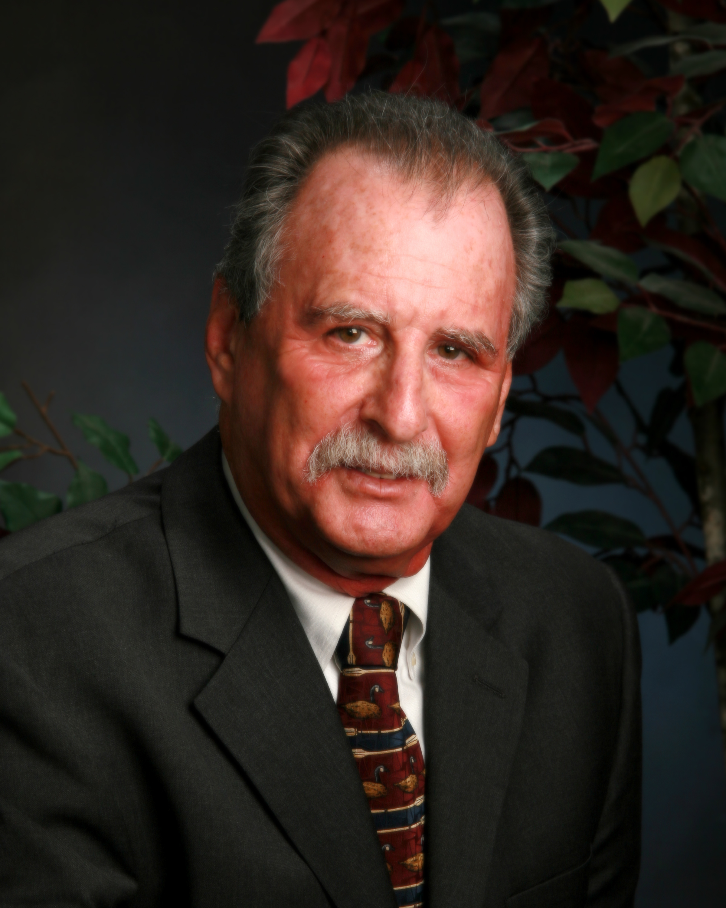 Judge Dennis Fuchs
